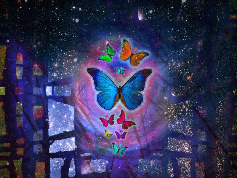 Пеперудената пещера