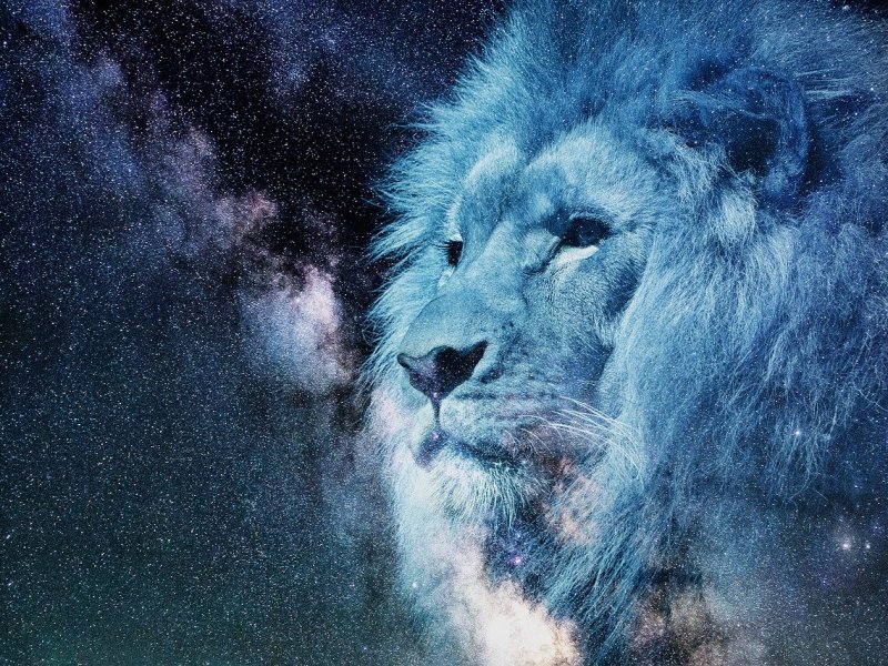 5 интересни неща, свързани с представителите на зодия лъв&nbsp;♌︎